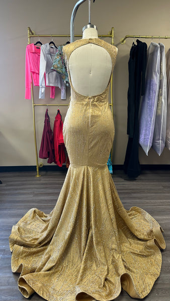 Golden Royalty Dress